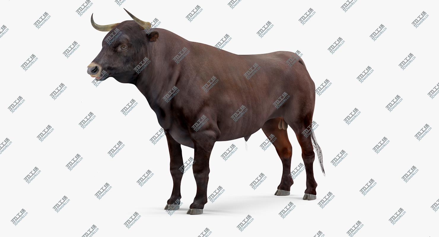 images/goods_img/2021040232/3D Bull Rigged model/4.jpg